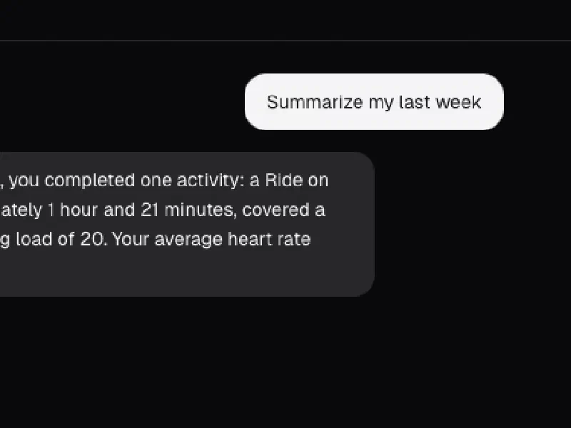 Summary with training metrics overview